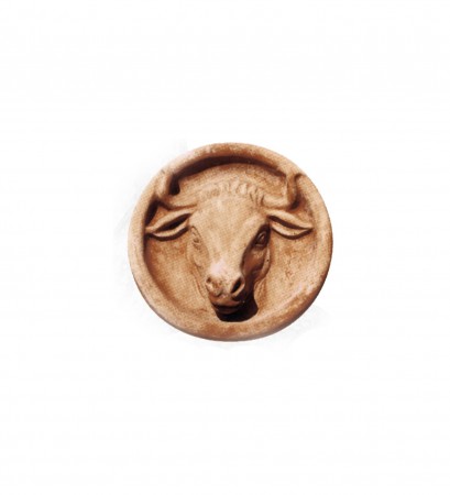 TESTA MUCCA